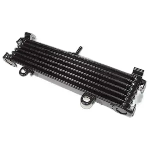 Radiatore moto Brazoline Yamaha Xjr 1300 image-1