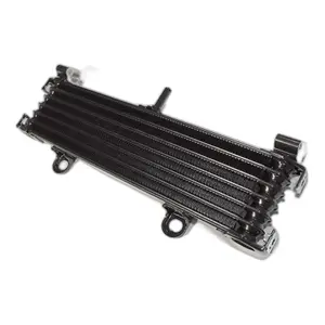 Radiatore moto Brazoline Yamaha Xjr 1300 image-2