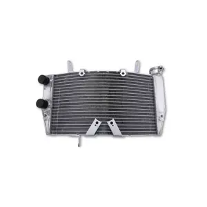 Ραδιέταιρα νερού Brazoline Ducati 848 1098 1198 image-0