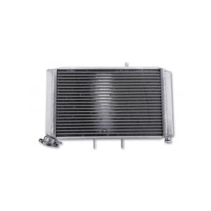 Vandradiator Brazoline Triumph Tiger 800