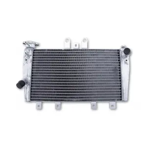 Grzejnik wodny Brazoline Triumph Speed Triple 1050 image-1