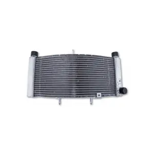 Ραδιέταιρα νερού Brazoline Yamaha V-MAX 1700 2009-2019 image-0