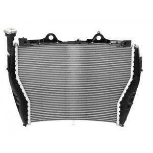Radiador para motociclos Brazoline Bmw S1000r (2017-2021), S1000xr (2015-2019) image-0