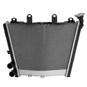 Radiador para motociclos Brazoline Bmw S 1000 R (2021-2022), S 1000 Rr (2019-2022) image-0