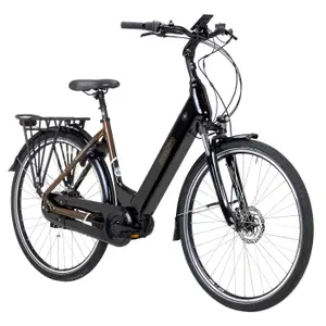 Electric bike Breezer Powertrip Evo 3.1 LS image-1