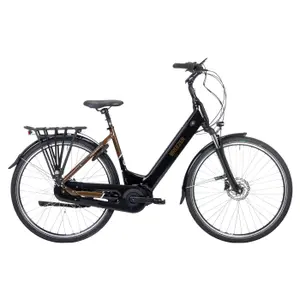 Electric bike Breezer Powertrip Evo 3.1 LS image-0