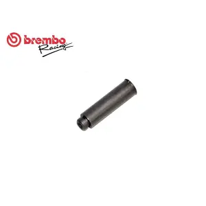 Άξονας περιστροφής μοχλού Brembo PR16/PR19 image-0