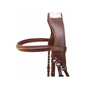 Bridles with bridge T de T Raphaël image-1