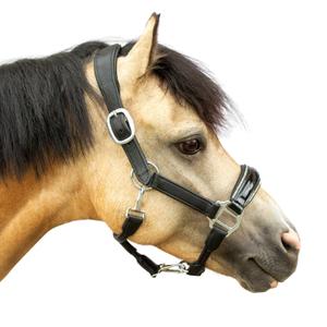 ha102spslsc-leather-headcollar-for-pony-bridlery-eternity-black-silber-glitzer-pony