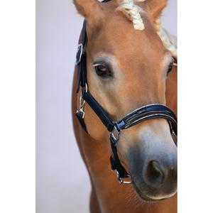 ha102svslsc-licol-en-cuir-pour-cheval-bridlery-eternity-black-silber-glitzer-cob