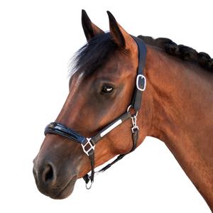 Leather halter for horse Bridlery Eternity Warmblut