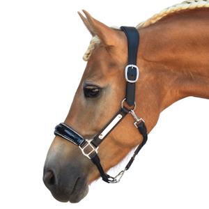 Leather halter for horse Bridlery Eternity Warmblut