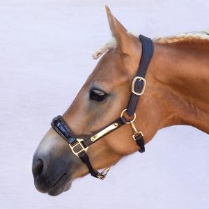 Leather halter for horse Bridlery Eternity