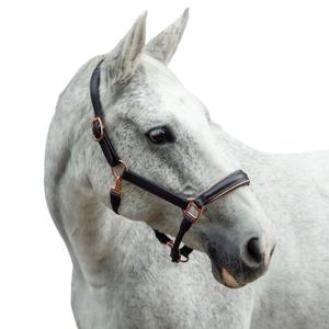 Leather halter for horse Bridlery Eternity