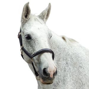 ha103bwgkl-lederhalfter-fur-pferde-bridlery-eternity-braun-croco-lack-warmblut-full