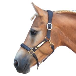 Leather halter for horse Bridlery Eternity Warmblut