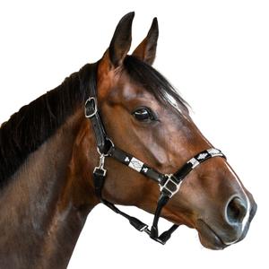 ha105sv-licol-en-cuir-pour-cheval-bridlery-black