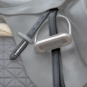 Saddle stirrups Bridlery Sparkle