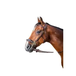 Cabeçada Dy'on Hackamore image-1