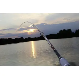 Feeder rod Browning Argon 2.0 HD 60g 200g image-2