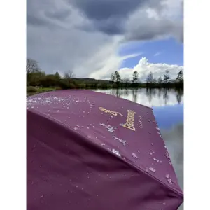 Guarda-chuva Browning image-4