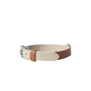 Dog collar Bruno's Shop Mancha
