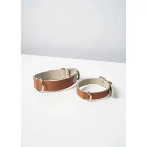 Dog collar Bruno's Shop Mancha image-2
