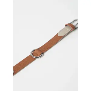 Dog collar Bruno's Shop Mancha image-3