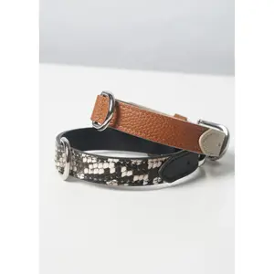 Dog collar Bruno's Shop Mancha image-4