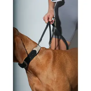 Dog collar Bruno's Shop Noir image-1
