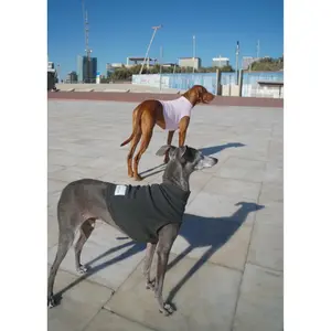 Thermal Dog Bodysuit Bruno's Shop Chaster (x2) image-2