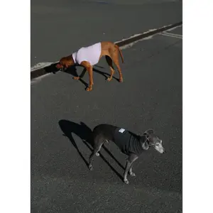 Thermal Dog Bodysuit Bruno's Shop Chaster (x2) image-3