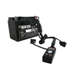 Charge Indicator BS Battery BT01 image-1