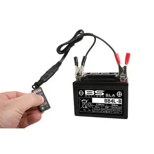 Charge Indicator BS Battery BT01 image-2