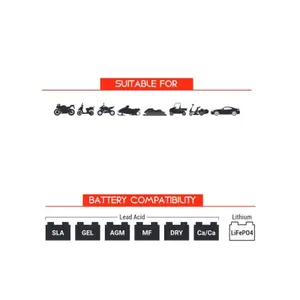 Connettore della batteria BS Battery PA-01 (x20) image-4