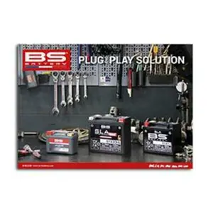 Pack de Posters BS Battery BS Factory image-0