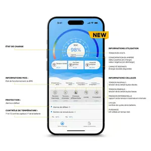 Battery Case BSR ECO - LiFePO4 12V 100Ah image-1