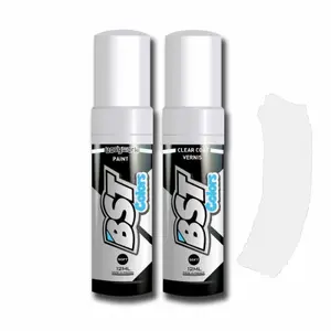 bsk03-motorrad-reinigungsspray-bst-colors-stardust-kawasaki-weiss-tu