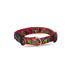 Collar para perro BUBU Pets Picasso image-0
