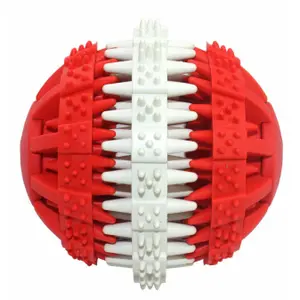 Juguete dental para perros BUBU Pets Mintfresh Ball image-0