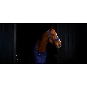 Stable Blanket Bucas 1,82 image-4