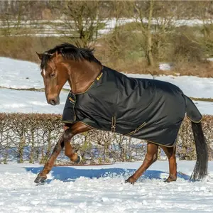 Hästtäcke för utomhusbruk med nackskydd Bucas Irish Turnout 150 72" 135 g image-1