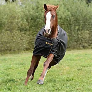 Hästtäcke för utomhusbruk med nackskydd Bucas Irish Turnout 150 72" 135 g image-2