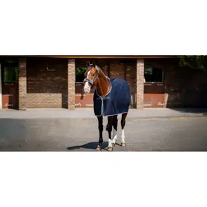 Stable Blanket Bucas Emerald 2,57