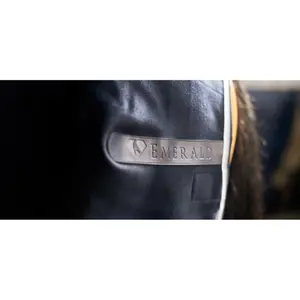 Stable Blanket Bucas Emerald 2,57 image-3