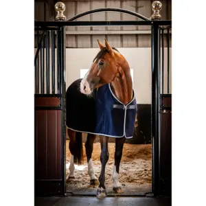 Stable Blanket Bucas Emerald 2,57 image-2