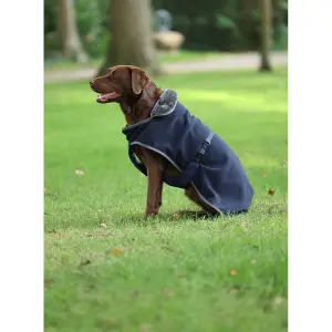 Dog coat Bucas Show-Line image-1