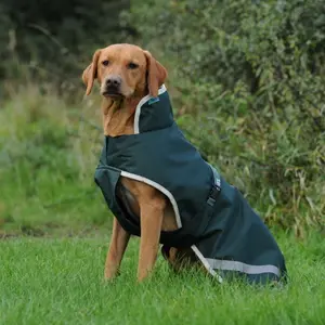 Dog coat Bucas Greenline image-0