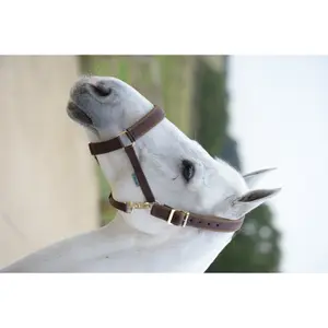 Halfter für Pferd Bucas Comfort image-0