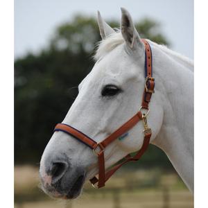 41230-20-cabecada-para-ponei-bucas-dublin-castanho-navio-pony